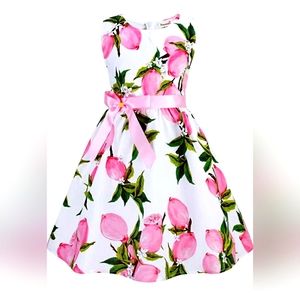 Pink lemon dress girl size 6